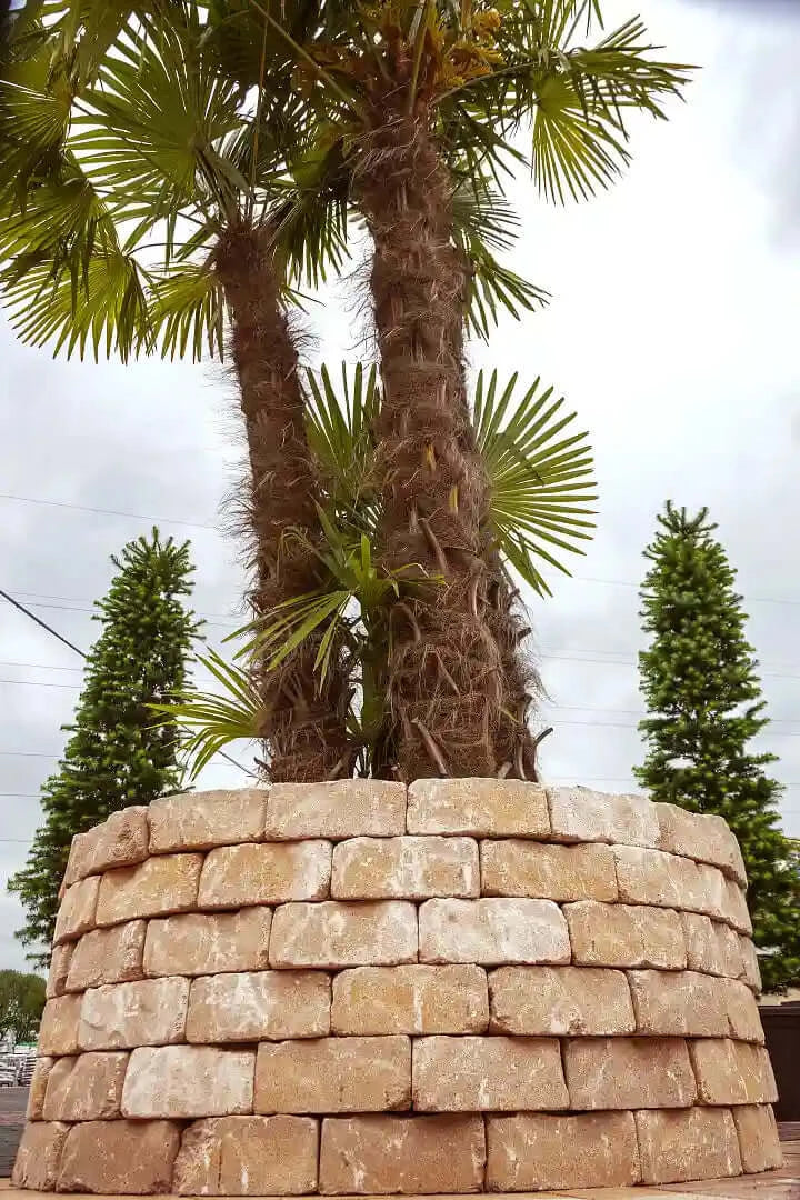 Promo Wall Mont Blanc